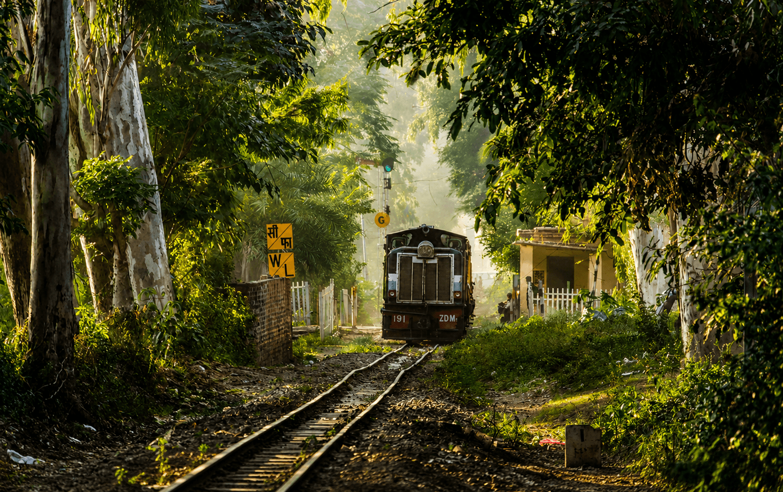 Pathankot Train